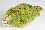 Apple-Green Pyromorphite Crystal Cluster - China #179827-2